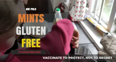 Are Polo Mints Gluten-Free? A Comprehensive Guide for Celiac Sufferers