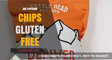Are Popcorn Chips Gluten-Free? A Crunchy Snack Guide