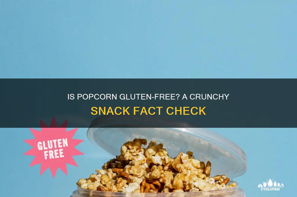 are popcorn is gluten-free