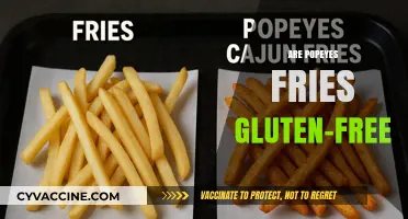 Are Popeyes Fries Gluten-Free? A Complete Guide for Celiac Diners