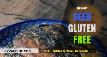 Are Poppy Seeds Gluten-Free? A Complete Guide for Celiac Diets