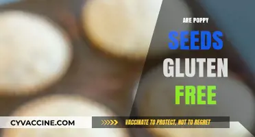 Are Poppy Seeds Gluten-Free? A Complete Guide for Celiac Diets