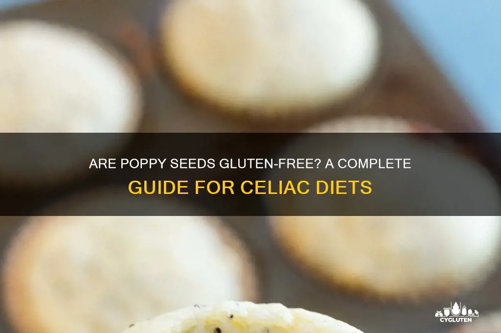 are poppy seeds gluten free