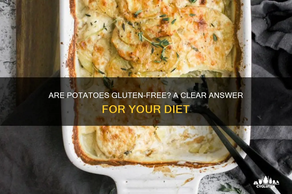 are poratoes gluten free
