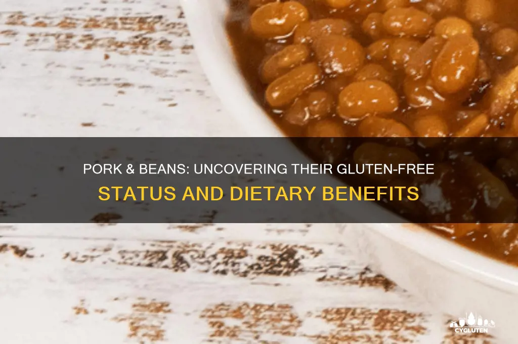 are pork & beans gluten free
