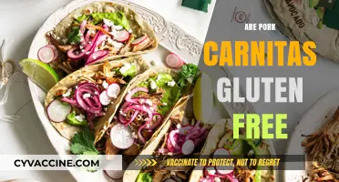 Are Pork Carnitas Gluten Free? A Complete Guide for Foodies