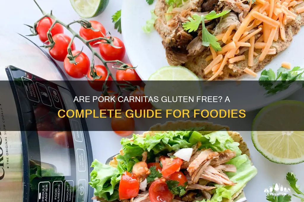 are pork carnitas gluten free