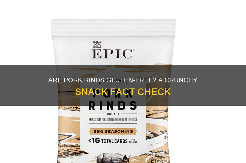 are pork rinds gluten-free
