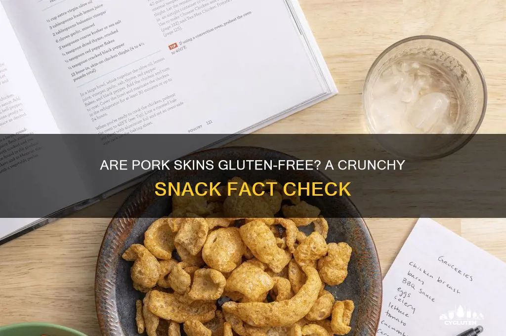 are pork skins gluten free
