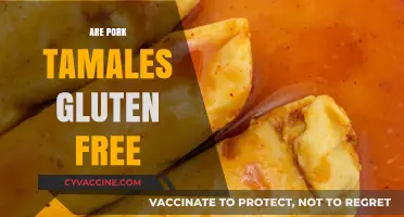 Are Pork Tamales Gluten Free? A Complete Guide for Celiacs