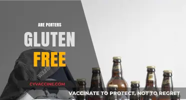 Are Porters Gluten-Free? Exploring Beer Options for Celiac Diets