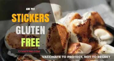 Are Pot Stickers Gluten-Free? A Complete Guide to Safe Dumplings