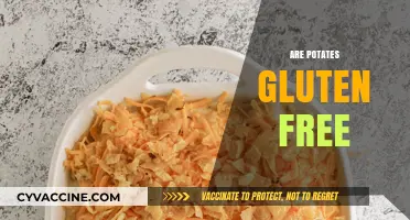 Are Potatoes Gluten-Free? A Clear Answer for Celiac Diets