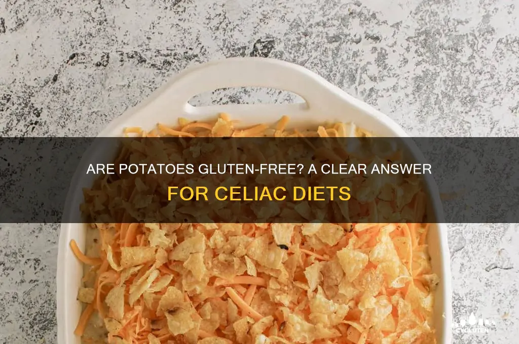 are potates gluten free