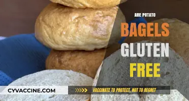 Are Potato Bagels Gluten-Free? A Complete Guide to Safe Options