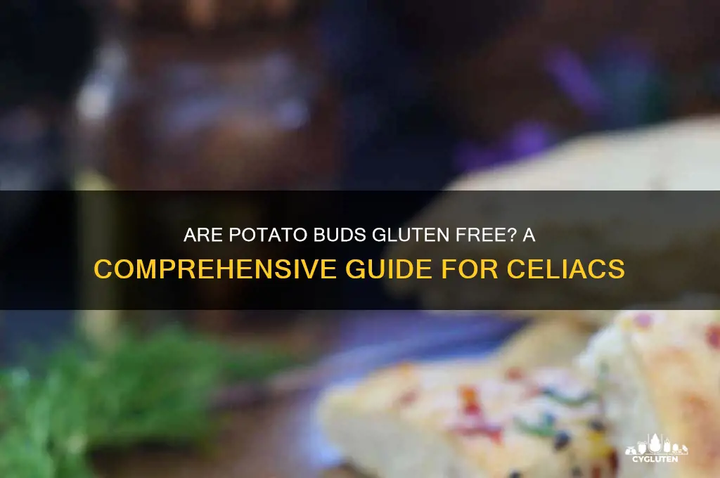 are potato buds gluten free