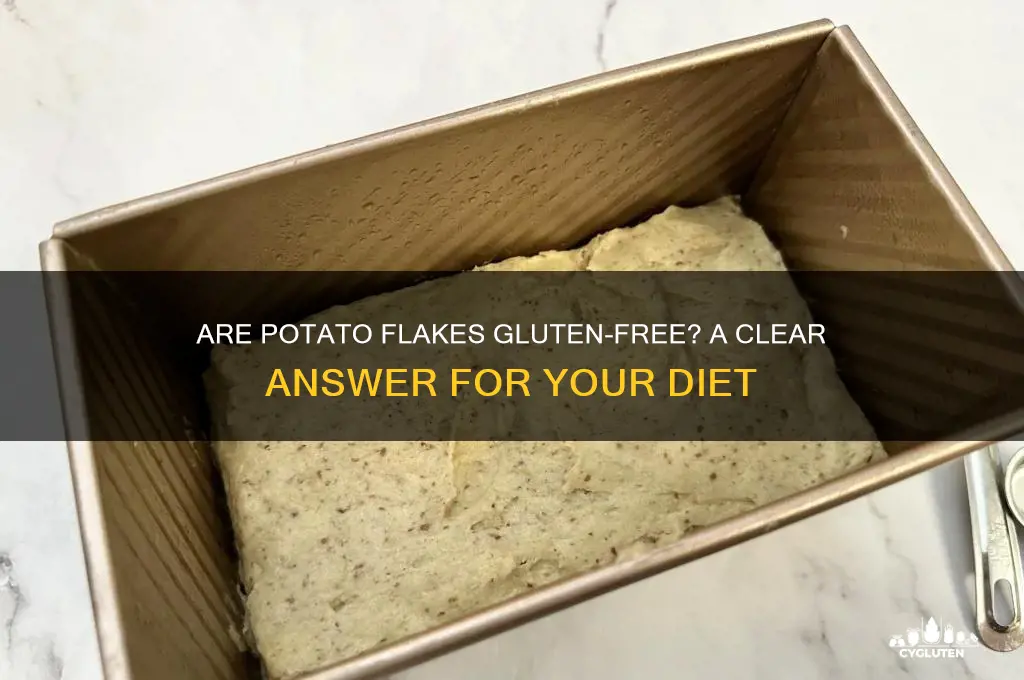 are potato flakes gluten free
