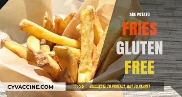 Are Potato Fries Gluten-Free? A Comprehensive Guide for Celiac Sufferers