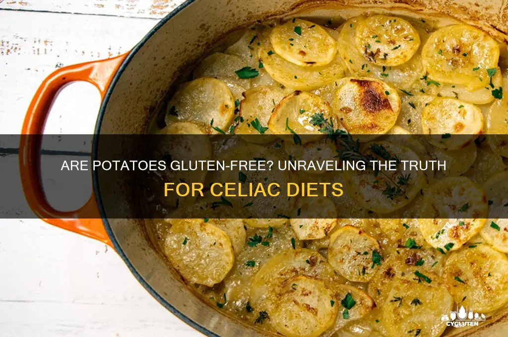 are potato gluten free