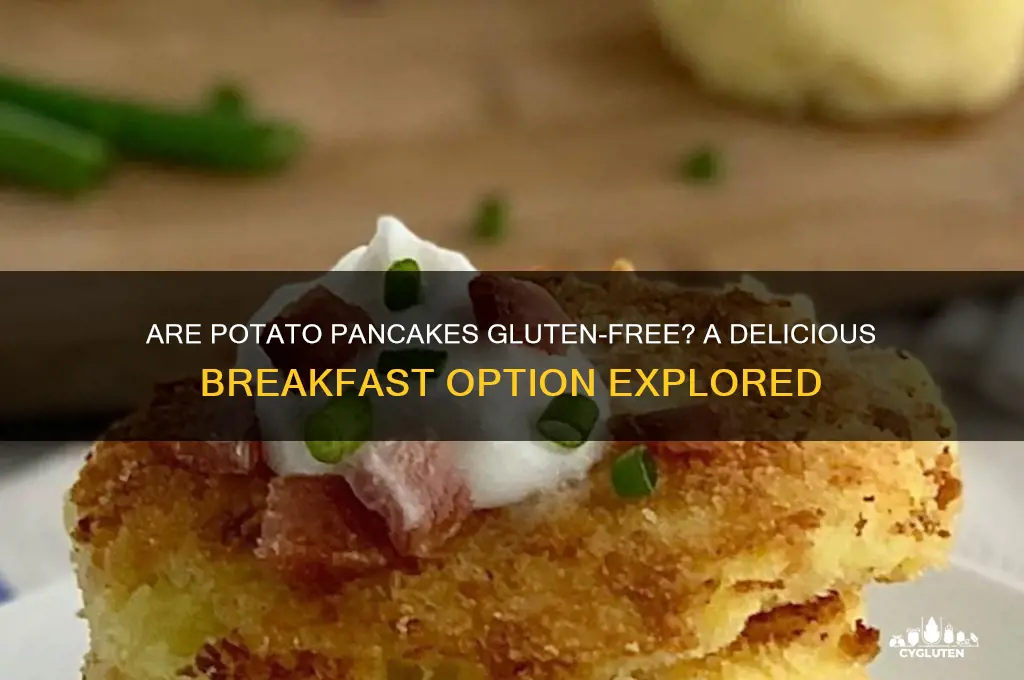 are potato pancakes gluten free