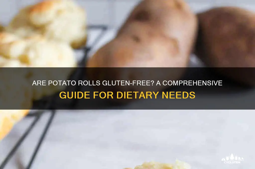 are potato rolls gluten free