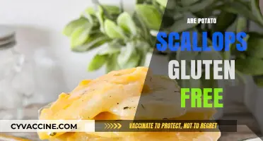 Are Potato Scallops Gluten-Free? A Comprehensive Guide for Foodies