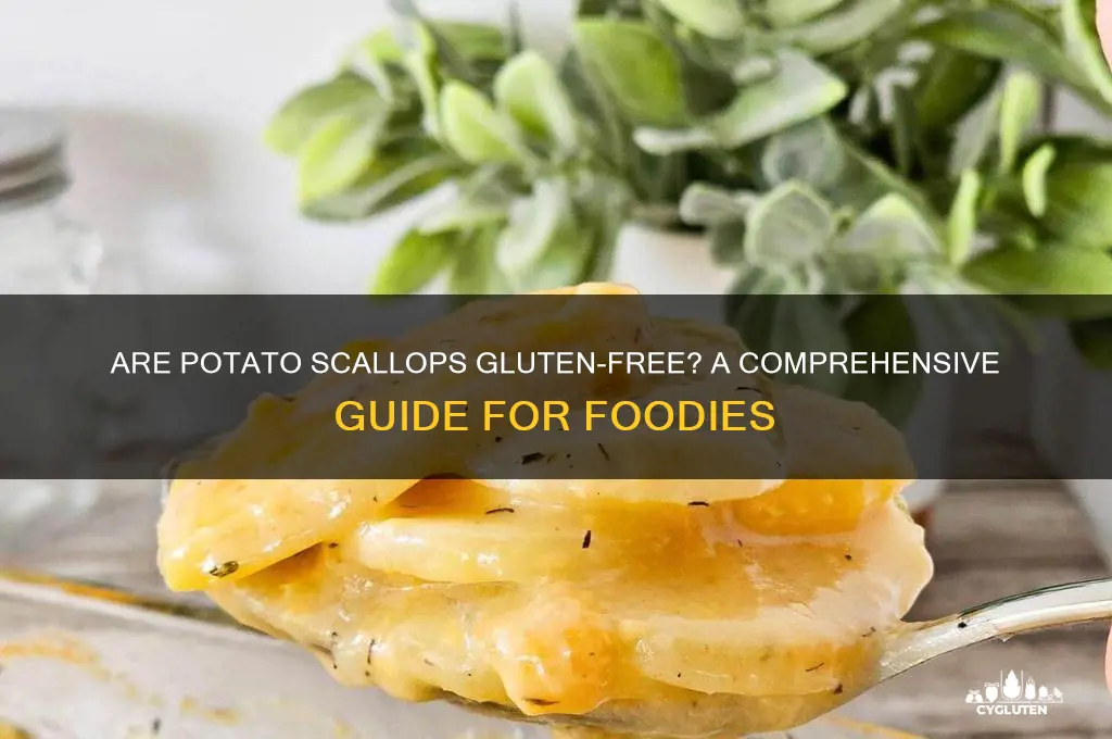 are potato scallops gluten free