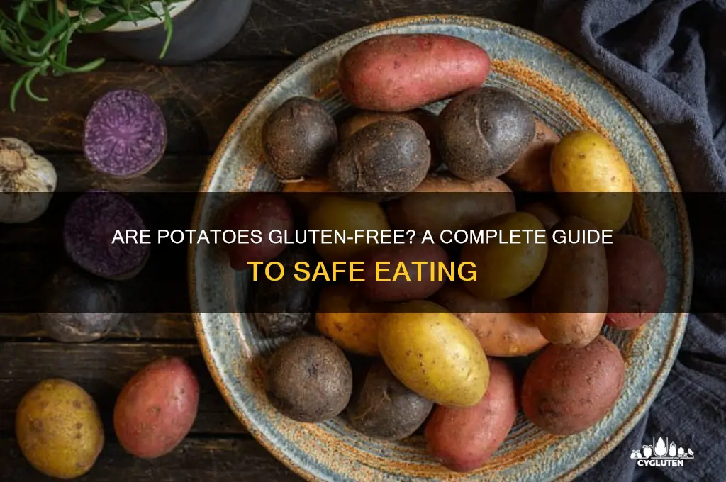 are potstoes gluten free