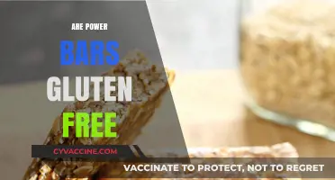 Are Power Bars Gluten-Free? A Complete Guide to Ingredients and Options