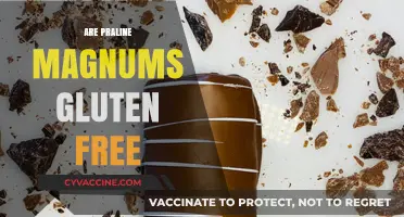 Are Praline Magnums Gluten-Free? A Sweet Treat Investigation