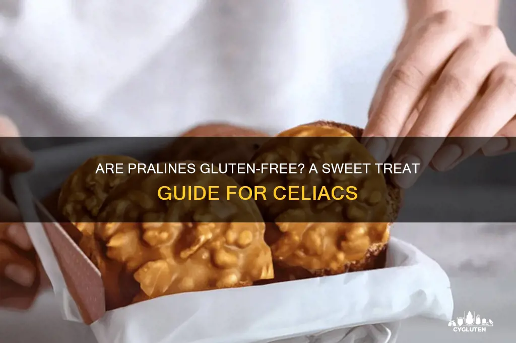 are pralines gluten free