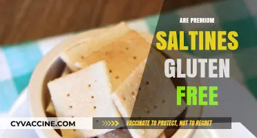 Are Premium Saltines Gluten-Free? Uncovering the Truth for Celiac Diets