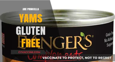Are Princella Yams Gluten-Free? A Comprehensive Guide for Celiacs