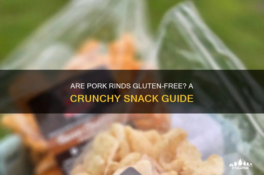 are prok rinds gluten free