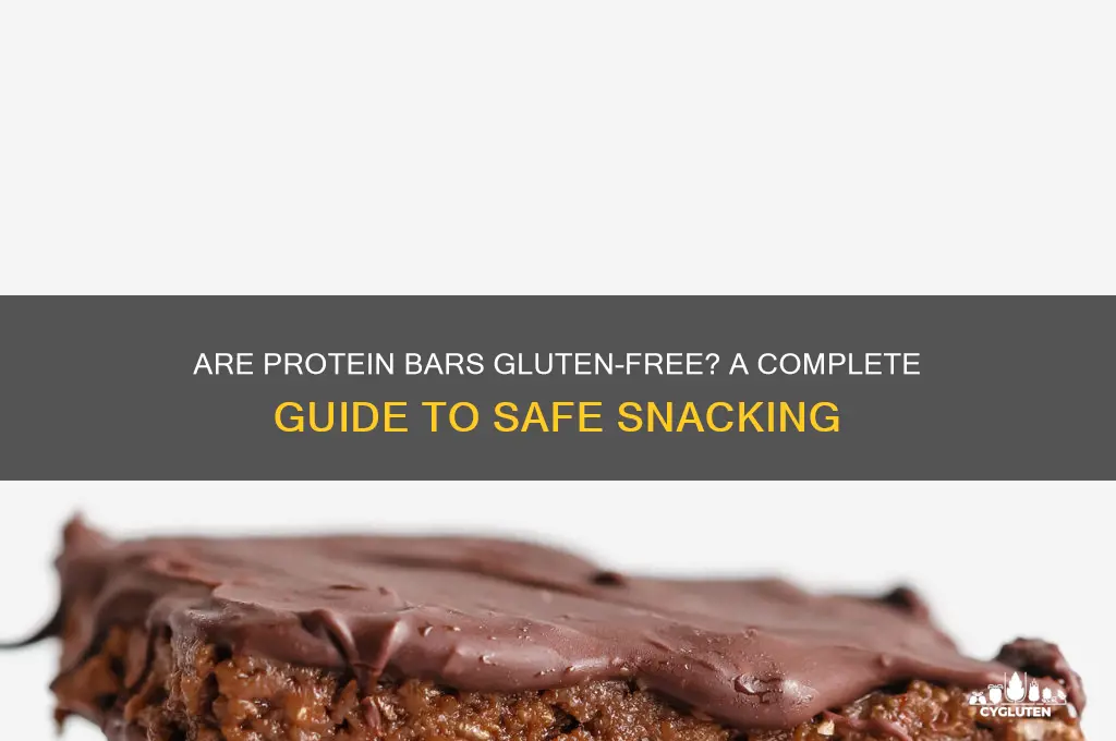 are protein bars gluten free