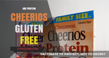 Are Protein Cheerios Gluten-Free? A Complete Guide for Dieters