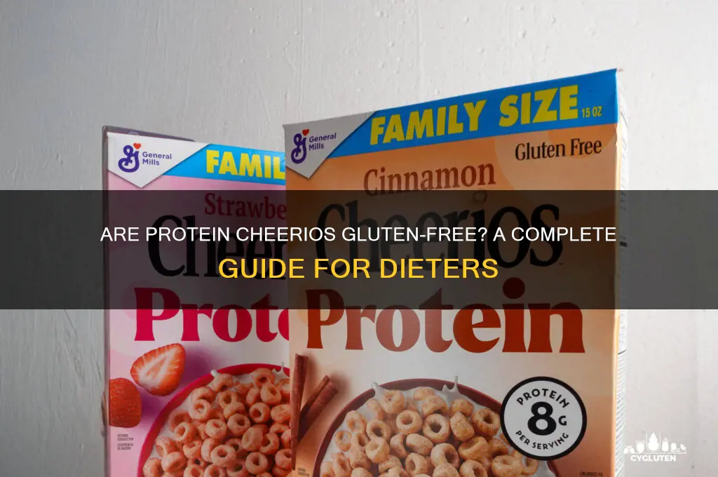are protein cheerios gluten free