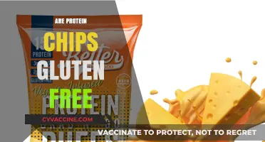 Are Protein Chips Gluten-Free? A Crunchy Snack Guide