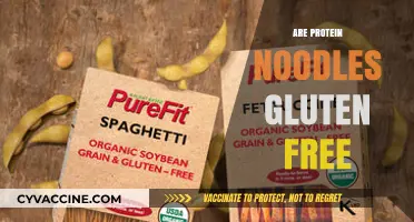 Are Protein Noodles Gluten-Free? A Complete Guide for Dieters