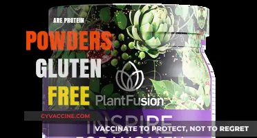 Are Protein Powders Gluten-Free? A Comprehensive Guide for Fitness Enthusiasts