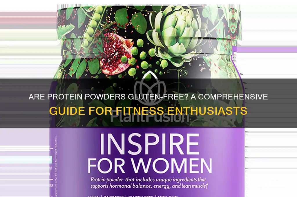 are protein powders gluten free