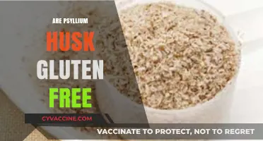 Is Psyllium Husk Gluten-Free? A Comprehensive Guide for Dieters