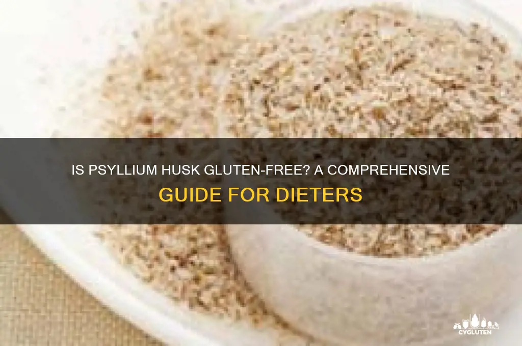 are psyllium husk gluten free