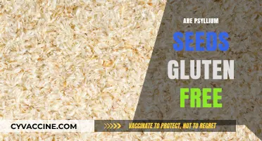 Are Psyllium Seeds Gluten-Free? A Comprehensive Guide for Celiacs