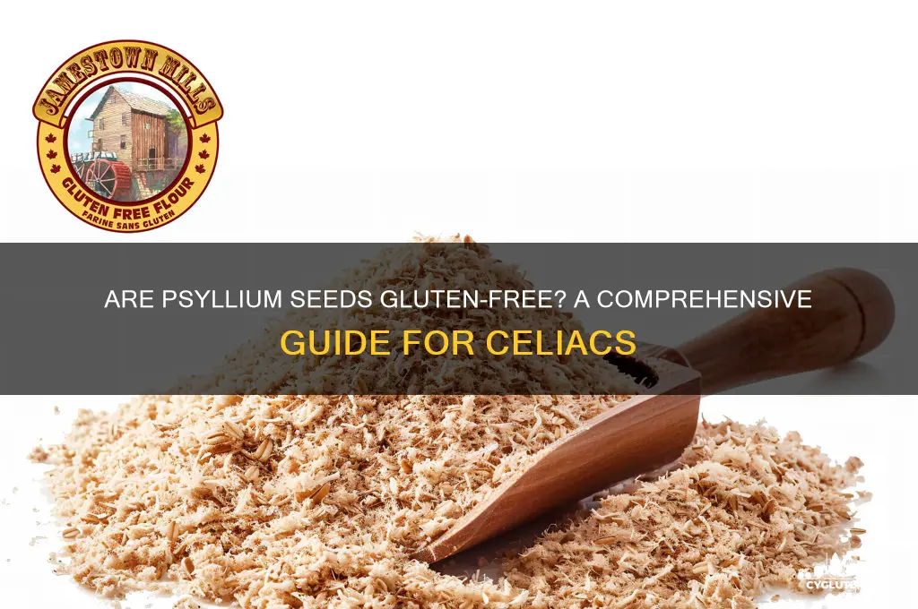 are psyllium seeds gluten free