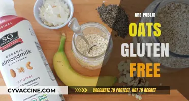 Are Publix Oats Gluten-Free? A Clear Answer for Shoppers