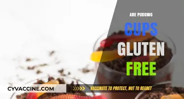Are Pudding Cups Gluten-Free? A Sweet and Safe Snack Guide
