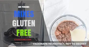 Gluten-Free Pudding Mixes: Safe Options and Brand Recommendations