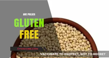Are Pulses Gluten-Free? A Comprehensive Guide to Legumes and Celiac Diets