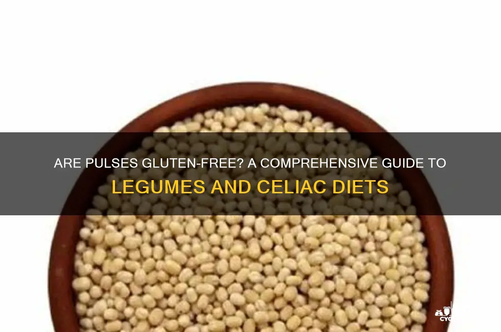 are pulses gluten free